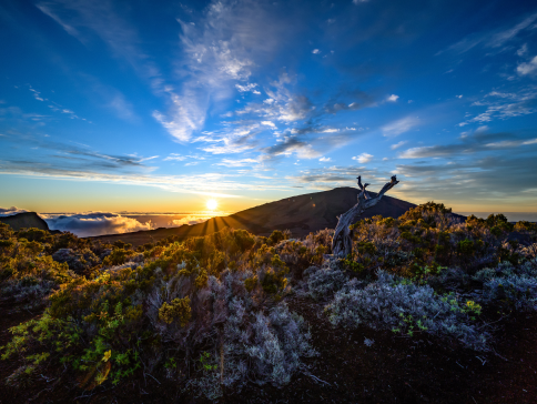 La Réunion