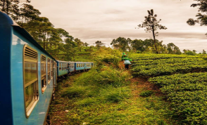 A train through tea plantations