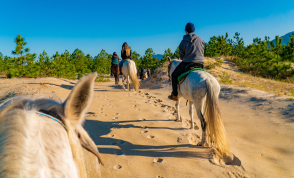 Horse riding on a trail