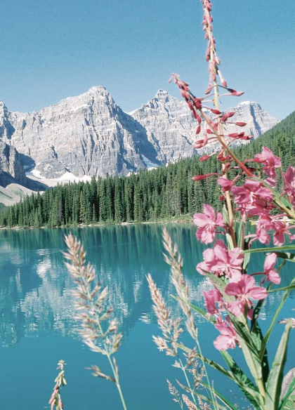 Turquoise lake beneath the Canadian Rockies